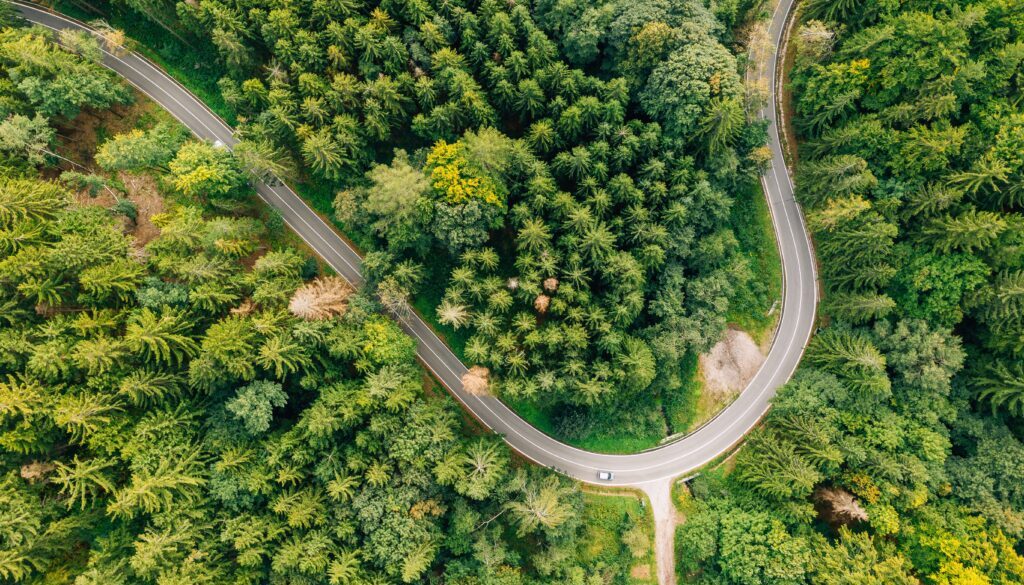 Fotografie lesa z dronu, který protíná klikatící se silnice.