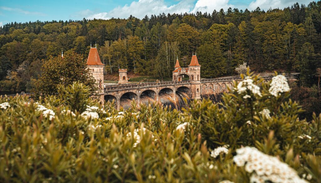 Les Království, autor Petr Capík